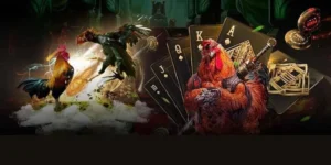 Cách Chơi Đá Gà GA28 Tại Asia99 Giúp Bạn Làm Giàu Nhanh Chóng Nhất