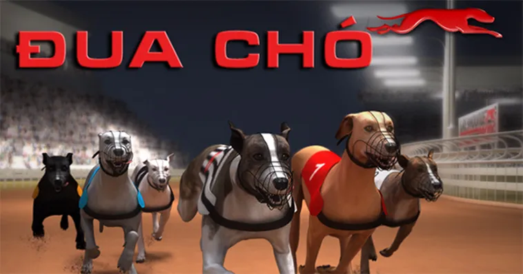 Bí Kíp Săn Thưởng Cực Đỉnh Với Cách Chơi Game Nhanh Đua Chó Tại Asia99
